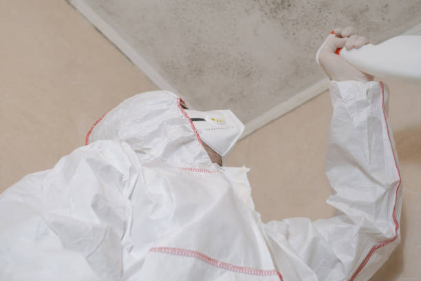 Best Emergency Mold Removal  in Plover, WI